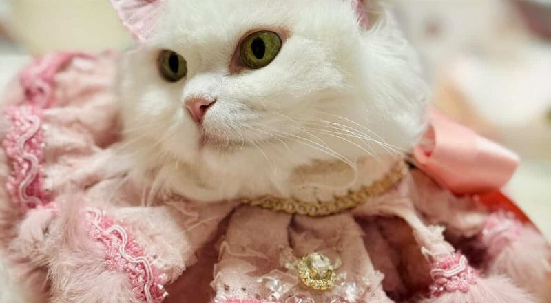 未来涨幅45%!这行业大爆发 可望突破$5000亿