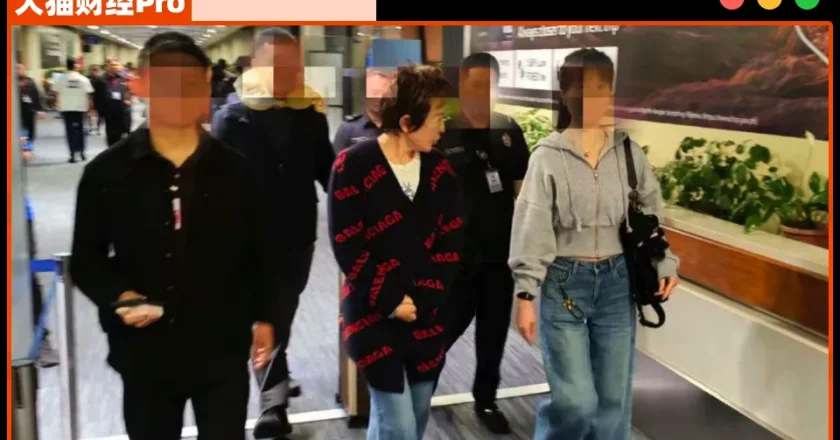 首富夫妻：一个暴力抗法，一个卷走10亿被抓