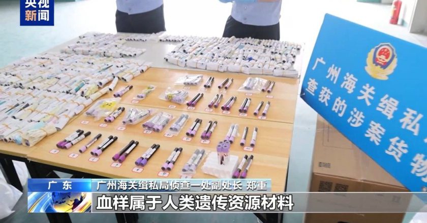 走私逾10万名孕妇血样出境验胎儿性别 广州查获「黑色产业链」