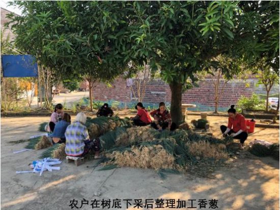 基層聲音：農民群體謀求發展太難了，太痛苦了！！