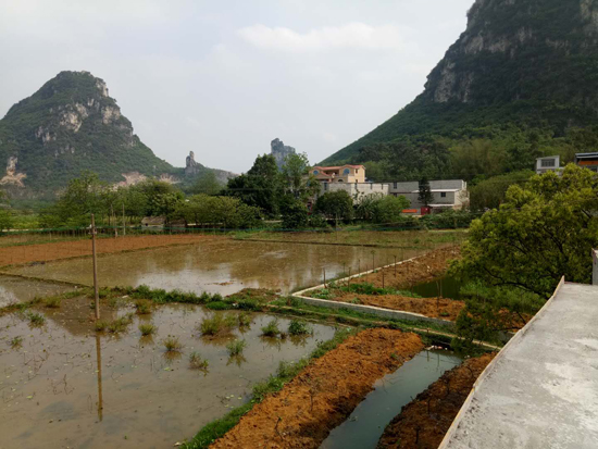 以新城區開發建設為名大搞房地產開發引質疑