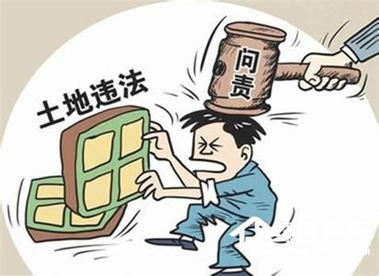 陵崗村近兩千畝集體土地被非法買賣追討難