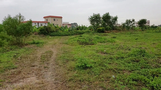 奇葩！男子競拍土地後發現土地不在管理人指定位置