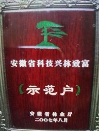 安徽廬江：《林權證》經營20年竟然變成廢紙一張，還引起官司