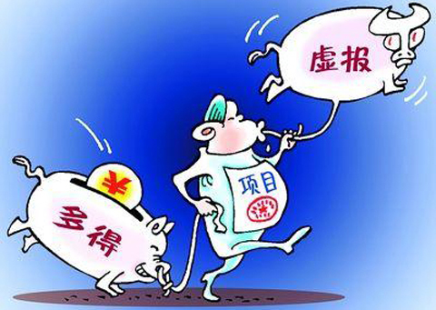 村官被指弄虛作假 套取國家資金數十萬元