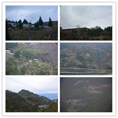 重慶巫山曲尺:鄉政府選擇執法被指涉嫌瀆職使養殖場被強拆