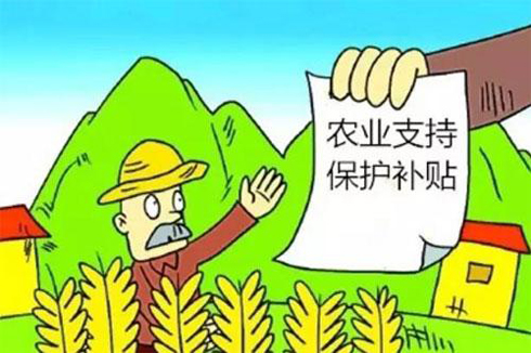 推動惠農政策落實落地,維護群眾切身利益