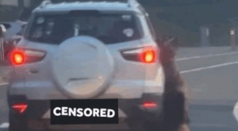 开车当街拖行牧羊犬致死！ 恶饲主家遭纵火喷漆报复