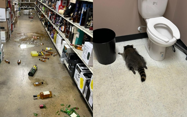 賣酒商店遭洗劫 警到現場傻眼 盜賊喝醉了竟是…