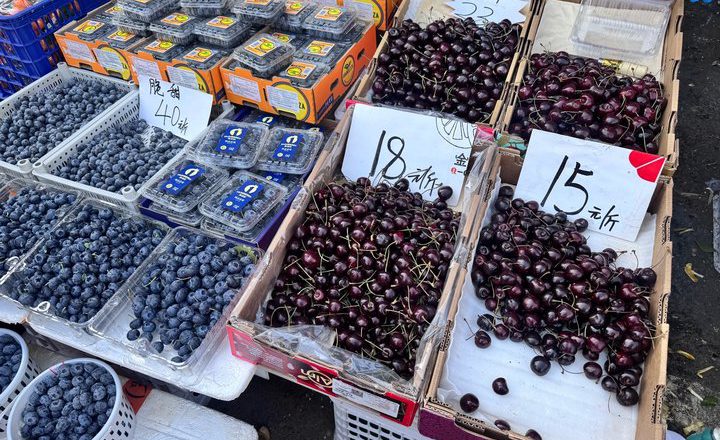 「果中貴族」車厘子降價趨勢席捲全中國