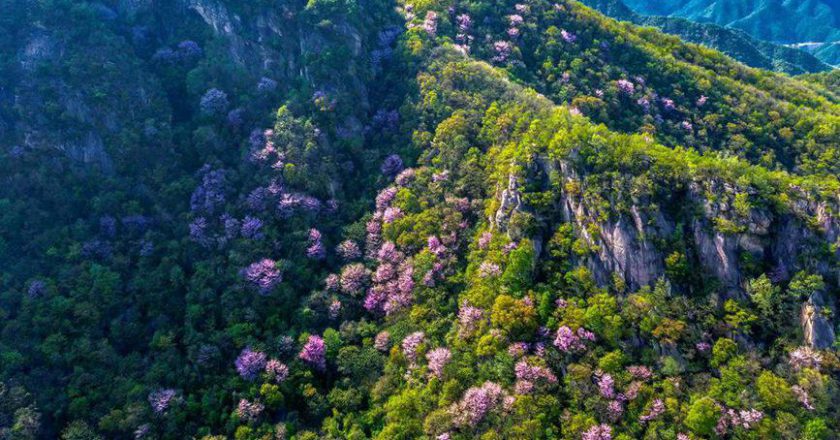 年僅28歲   高中女教師新婚當天墜樓身亡