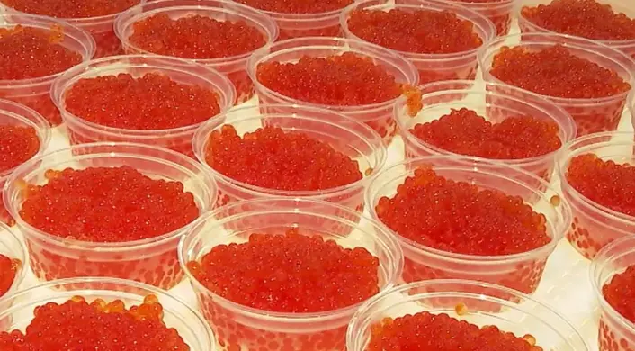 特朗普獲贈俄紅魚子醬 美特使曾品嘗留下「深刻印象」